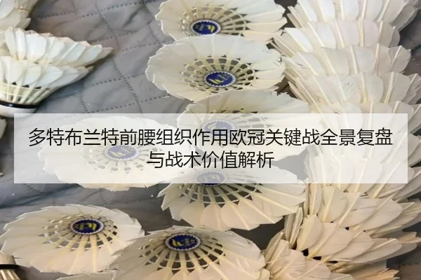 多特布兰特前腰组织作用欧冠关键战全景复盘与战术价值解析